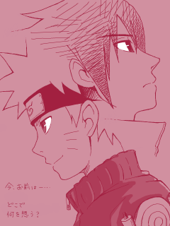 090225_narusasu.png